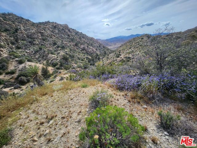 a view of a dry field with mountains in the background