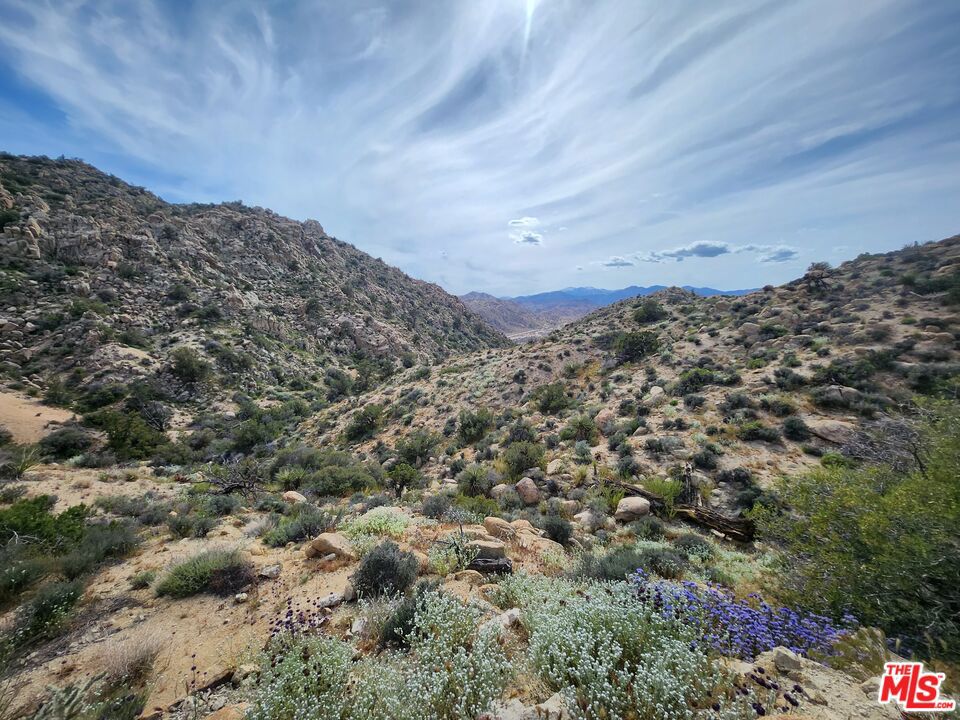 20 West Omega Trail Yucca Valley, CA 92286 - Photo 3 of 32 a view of a field