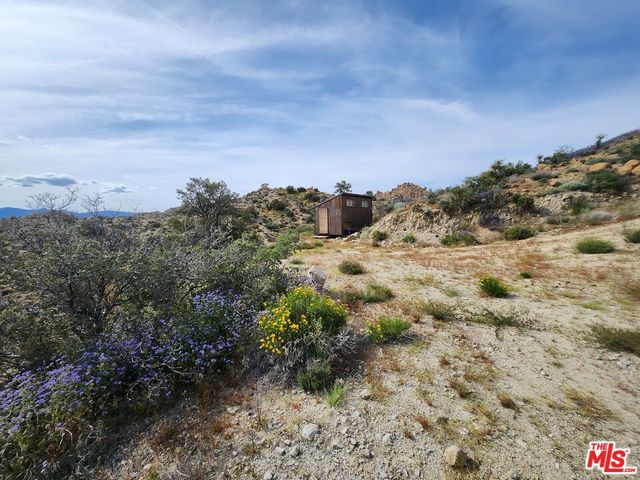 a view of a bunch of trees in a field