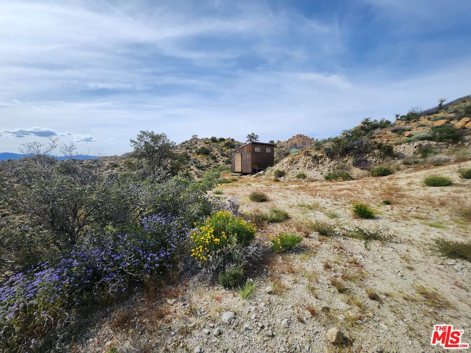 20 West Omega Trail Yucca Valley, CA 92286 - Photo 4 of 32 a view of a bunch of trees in a field