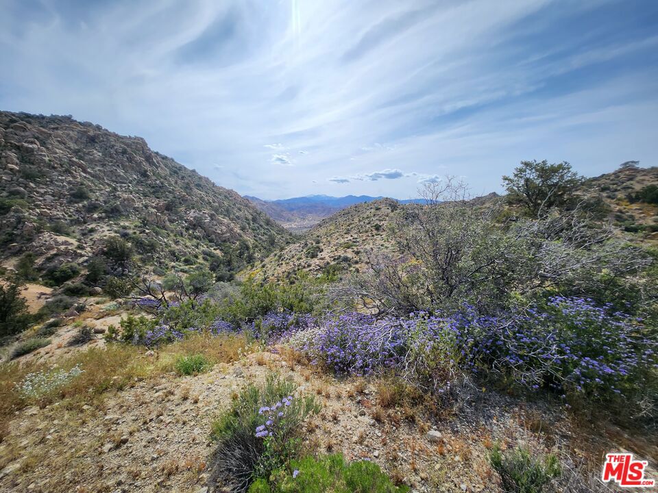 20 West Omega Trail Yucca Valley, CA 92286 - Photo 7 of 32