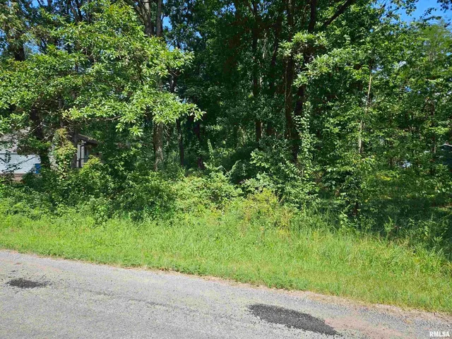 a view of a yard with plants and a small yard