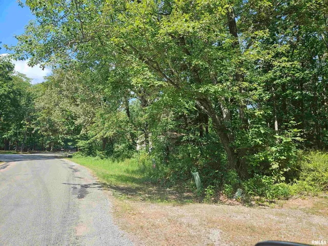a view of a yard with a tree
