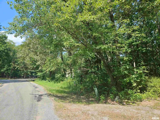 a view of a road with a yard
