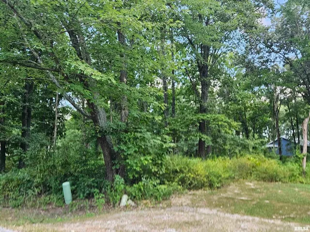 an aerial view of a yard