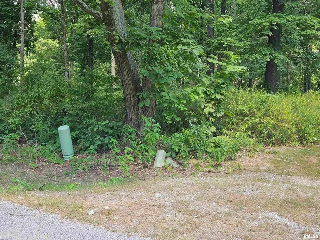 a view of outdoor space and yard