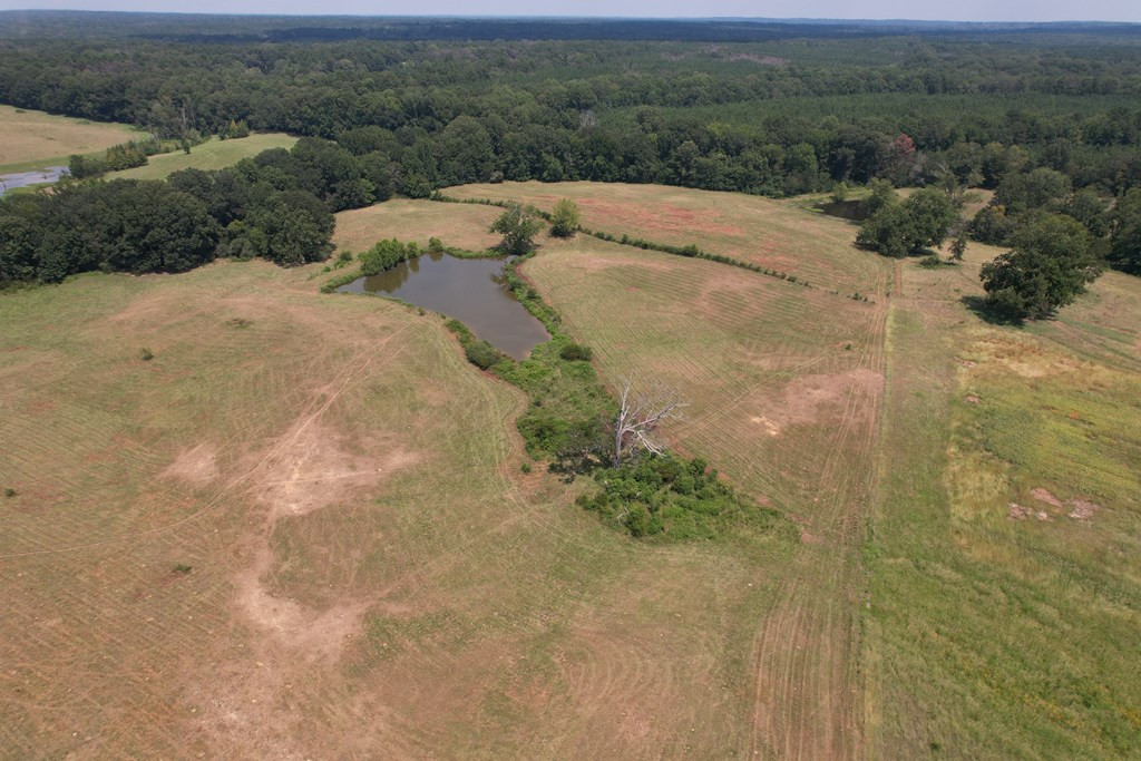 1072 Barlow Road Pattison, MS 39144 - Photo 15 of 40 Photo 15