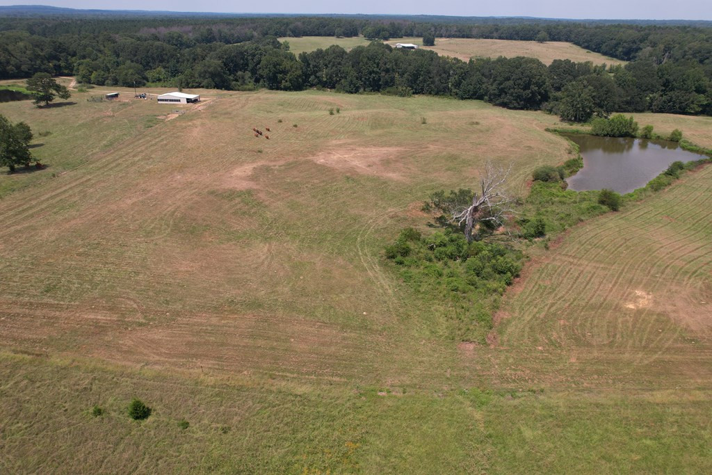 1072 Barlow Road Pattison, MS 39144 - Photo 19 of 40 Photo 19