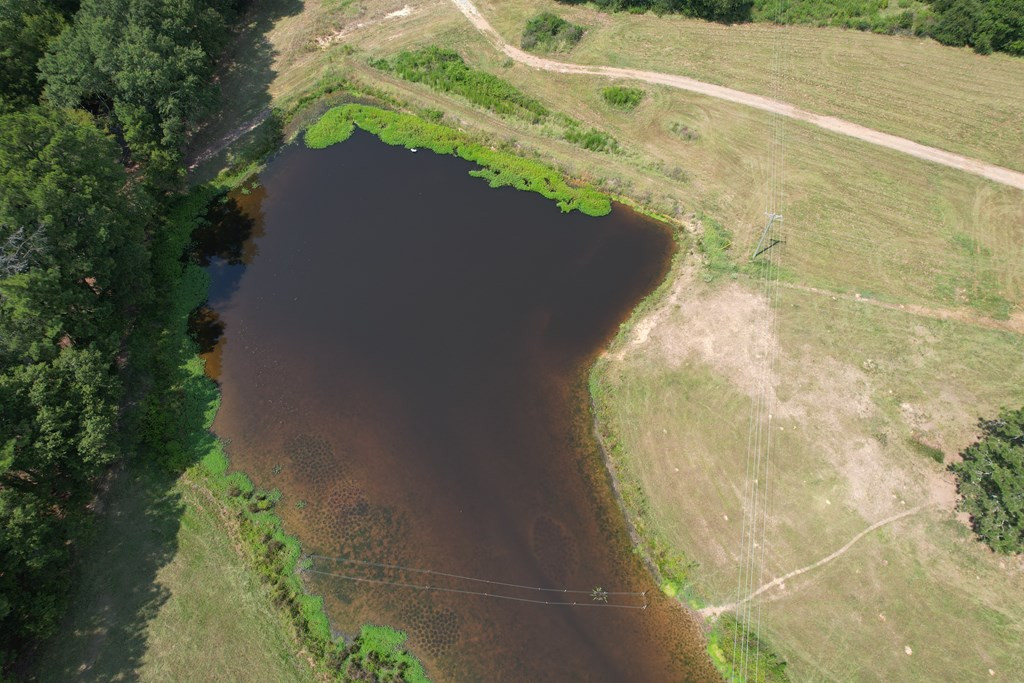 1072 Barlow Road Pattison, MS 39144 - Photo 10 of 40 Photo 10