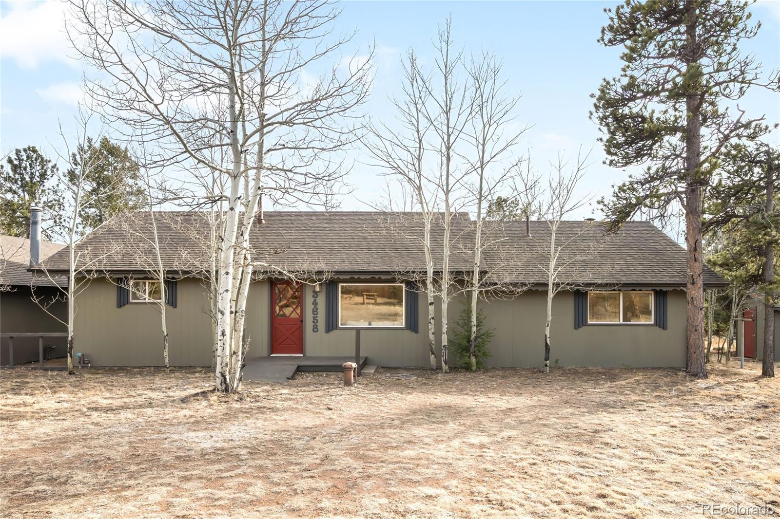 34657 Mohawk Trail Pine, CO 80470 - Photo 40 of 46 front view of a house with a yard