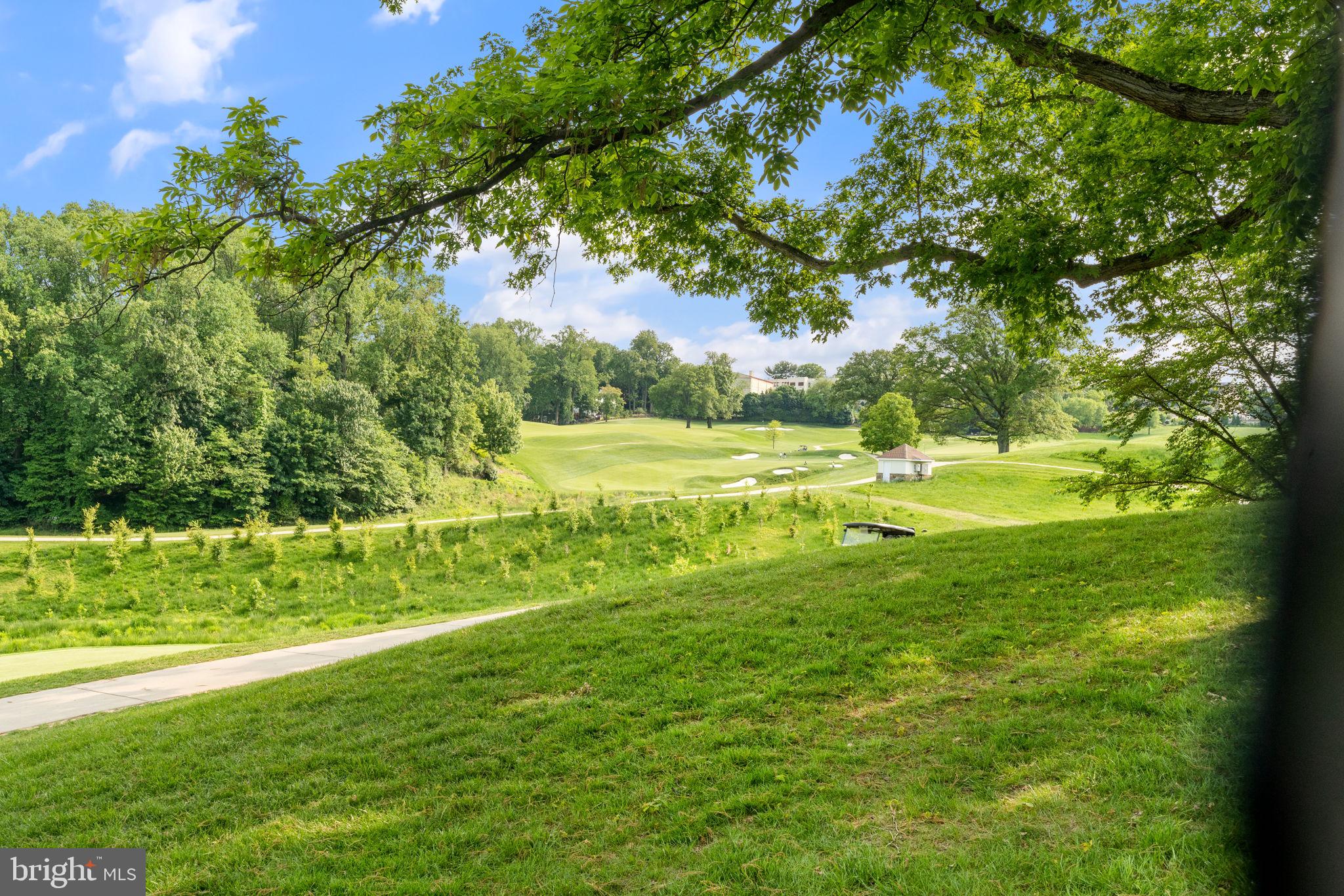 4733 Rock Spring Road Arlington, VA 22207 - Photo 2 of 40