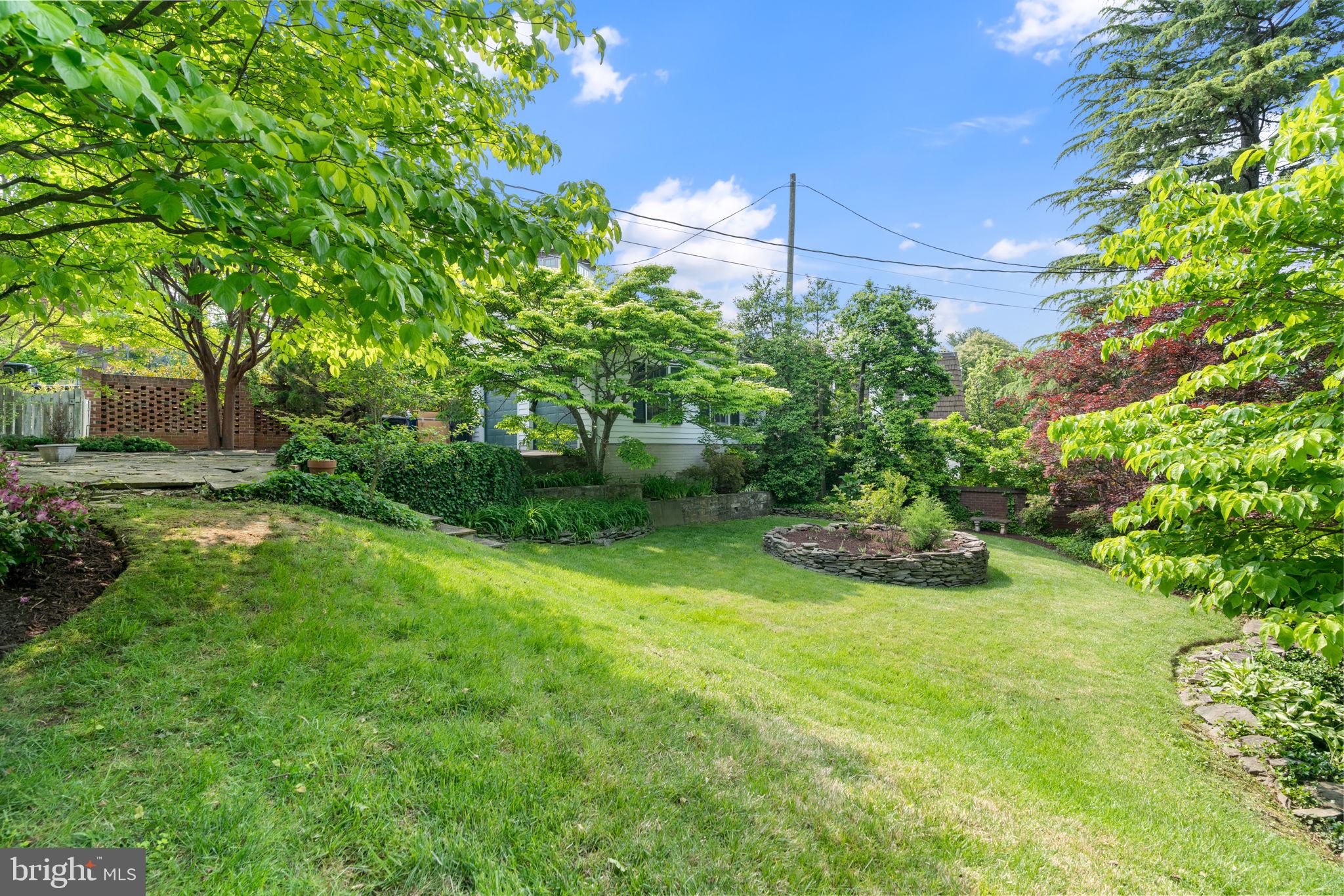 4733 Rock Spring Road Arlington, VA 22207 - Photo 36 of 40