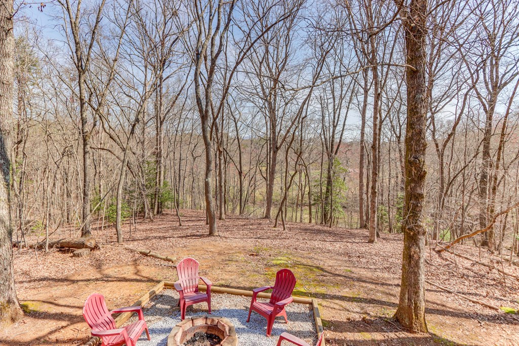 216 Brookhaven Trail Blue Ridge, GA 30513 - Photo 43 of 76 Gallery Image 43
