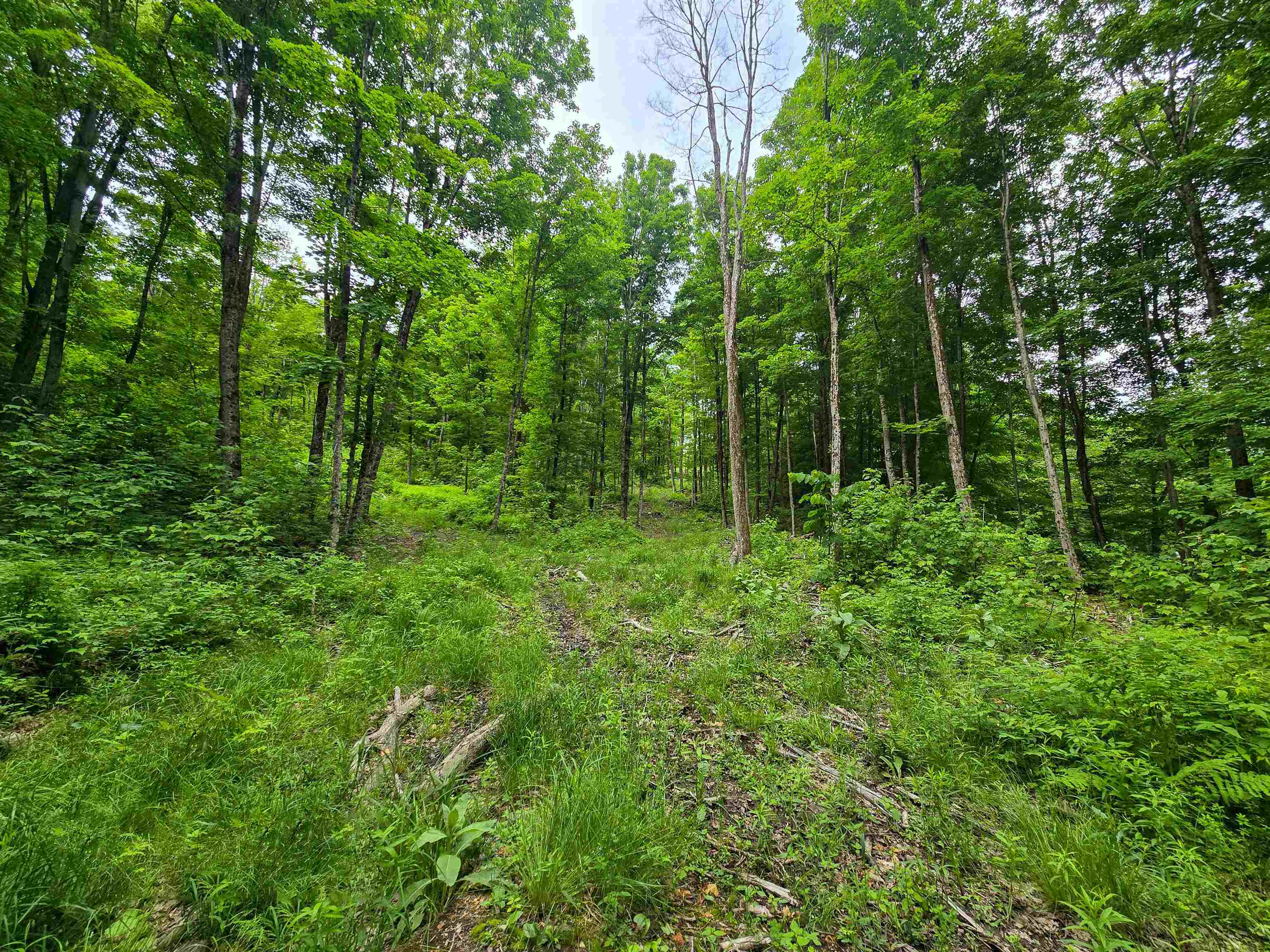 433 Wightman Hill Road Richford, VT 05476 - Photo 16 of 44