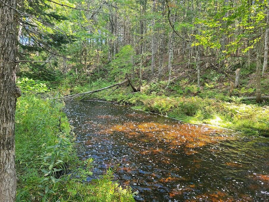 Lot 6 Estabrook Road Amity, ME 04471 - Photo 15 of 23 20210913_123822