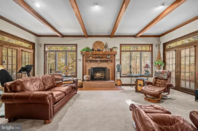a living room with furniture window and a fireplace