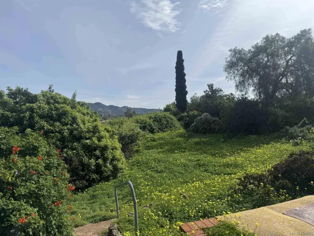 a view of a garden with a tree in the background