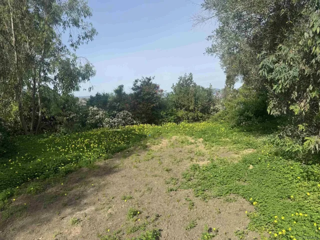 a view of a field with trees in the background