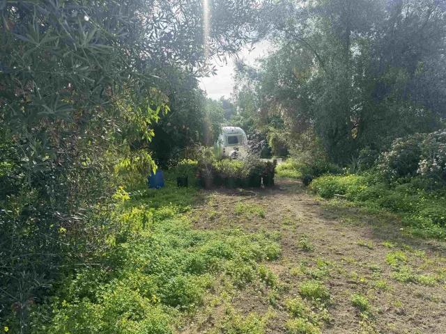 a backyard of a house with lots of green space