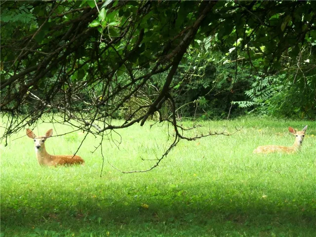 $200,000 | 13424 Parker Avenue, Grandview, MO 64030