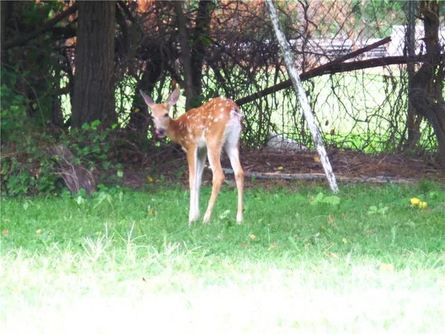 $200,000 | 13424 Parker Avenue, Grandview, MO 64030