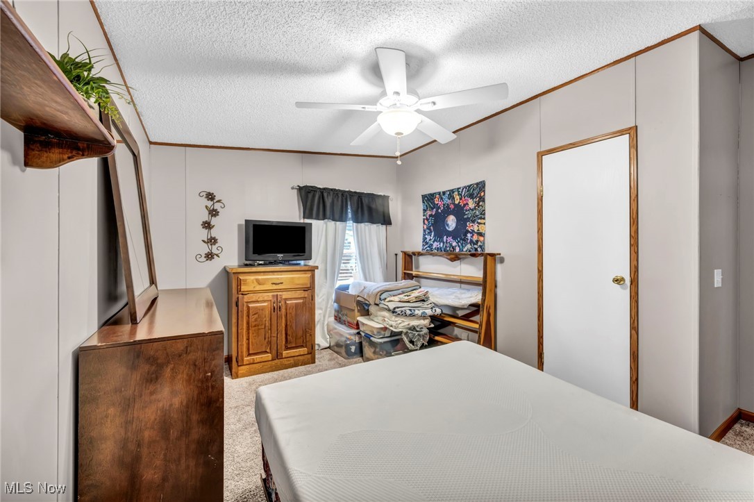 27202 Cook Road, Unit 95 Olmsted Falls, OH 44138 - Photo 34 of 46 Bedroom featuring light colored carpet, a textured ceiling, and ceiling fan