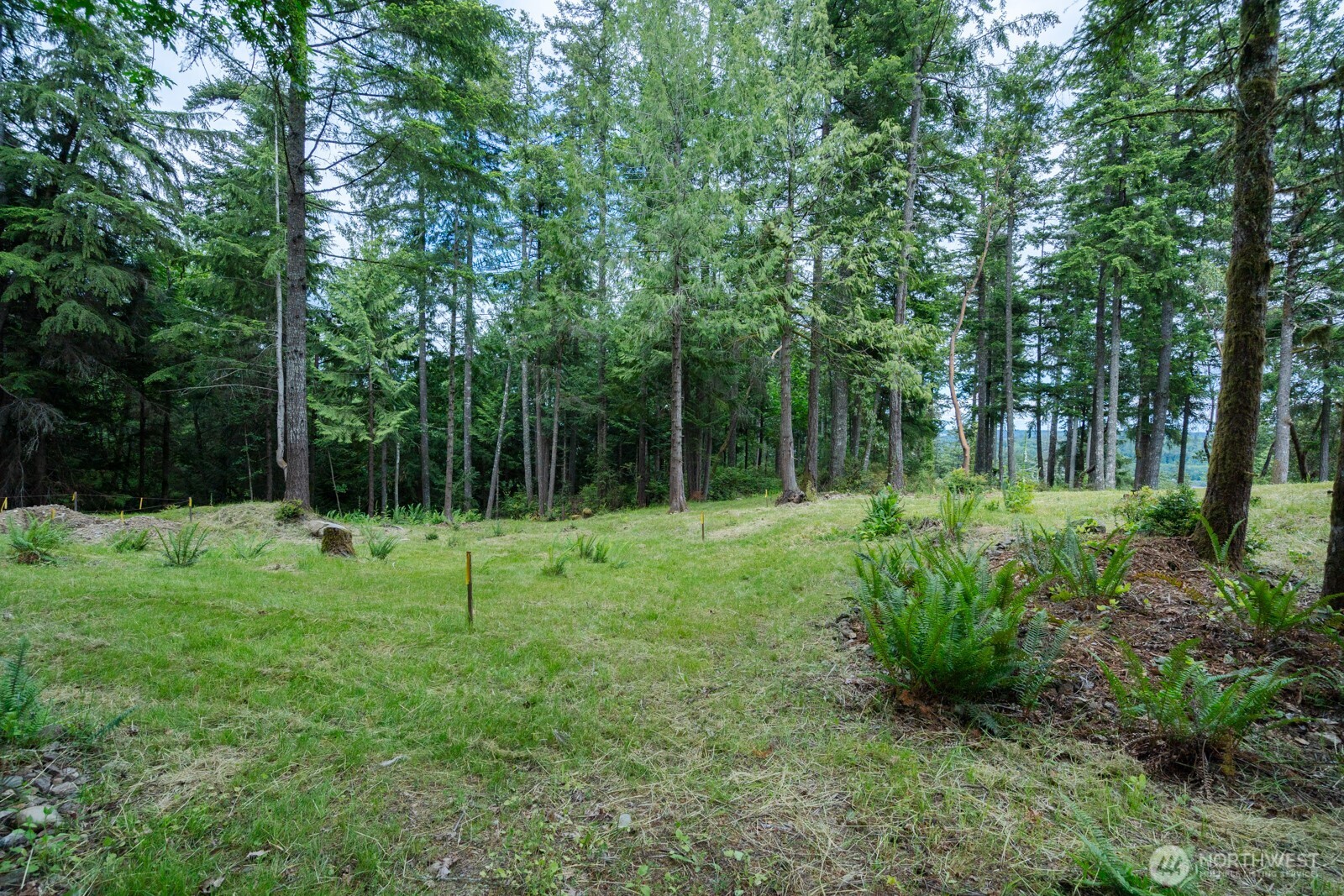 0 Sand Dollar Road West Bremerton, WA 98312 - Photo 4 of 7