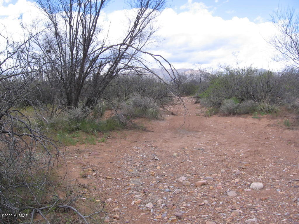 West Double Adobe Road McNeal, AZ 85617 - Photo 3 of 5