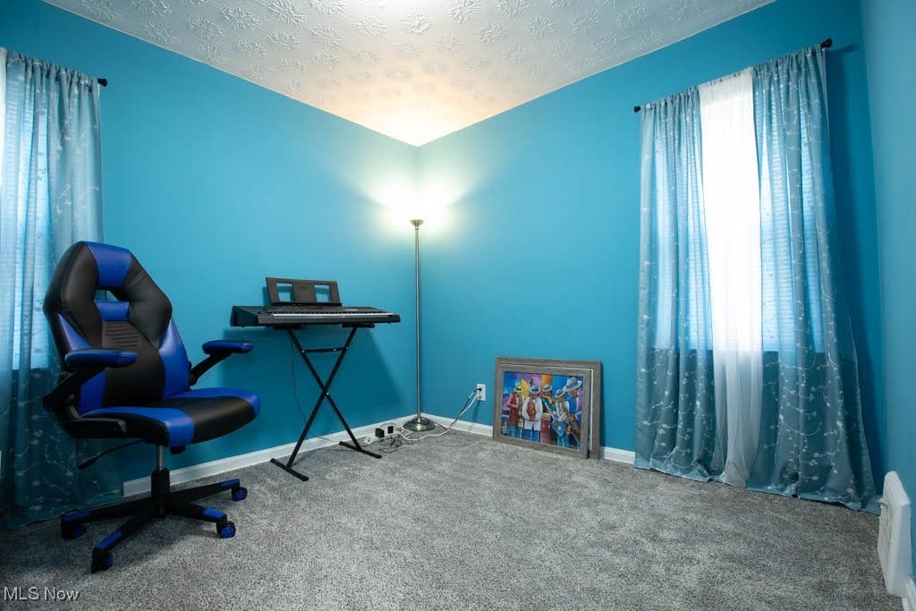 19310 Libby Road Maple Heights, OH 44137 - Photo 15 of 20 Office area with carpet and a textured ceiling