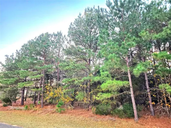 $87,000 | Lot 401 Mallard Way, Larue, TX 75770