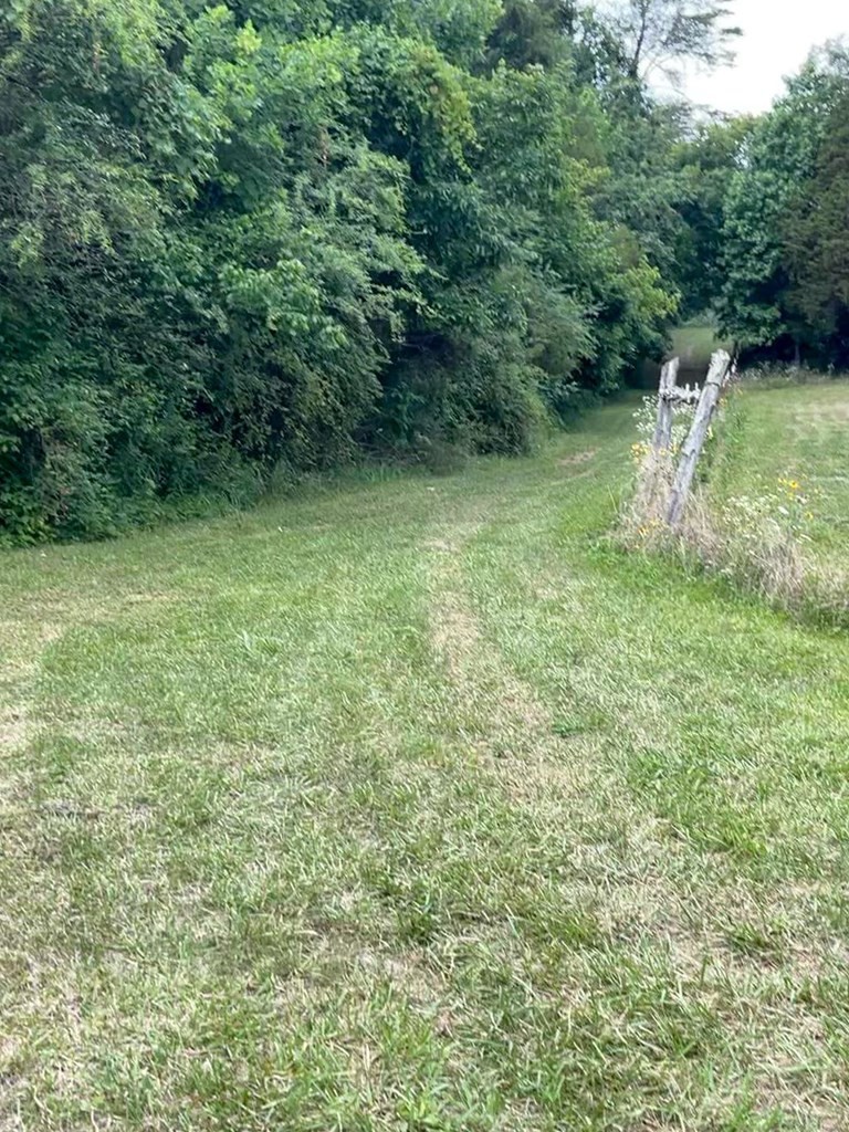 0 Idumea Road Corryton, TN 37721 - Photo 12 of 27 Gallery Image 12