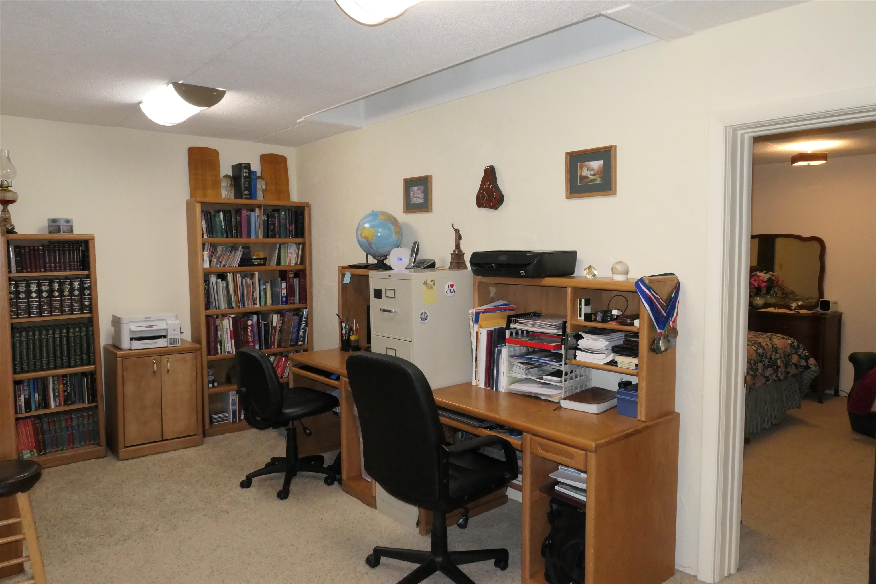 5669 Lake Montcalm Road Northeast Edmore, MI 48829 - Photo 18 of 41