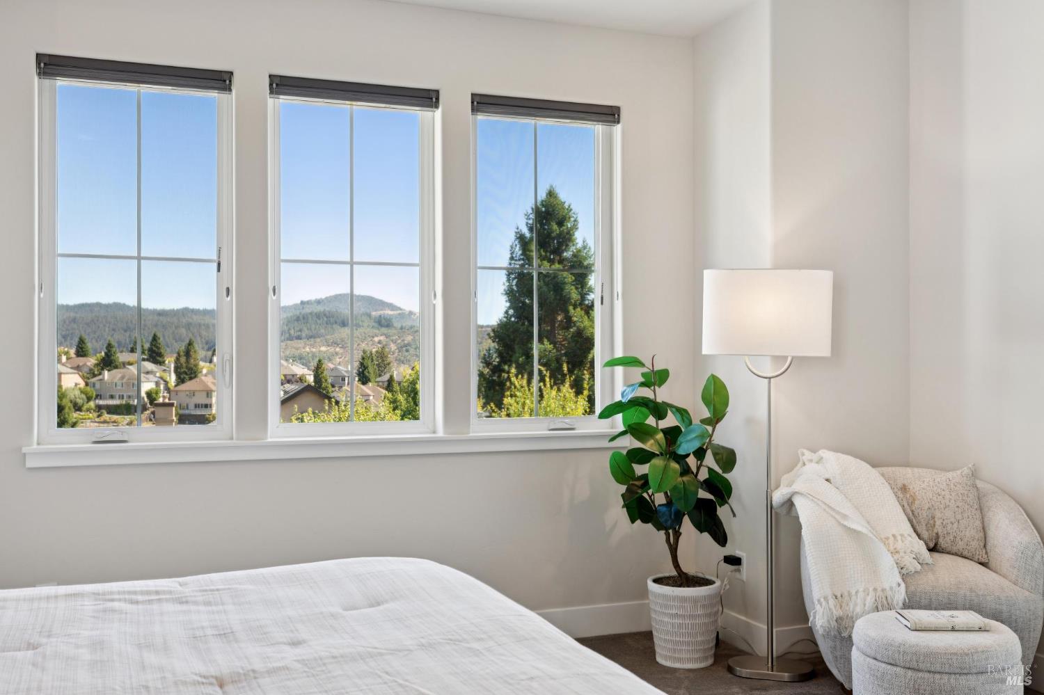 5980 Vista Ridge Santa Rosa, CA 95409 - Photo 36 of 63 a living room with furniture and a potted plant