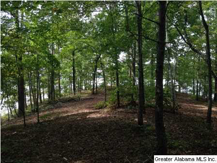 Creek Trail, Unit 40 Wedowee, AL 36278 - Photo 3 of 7