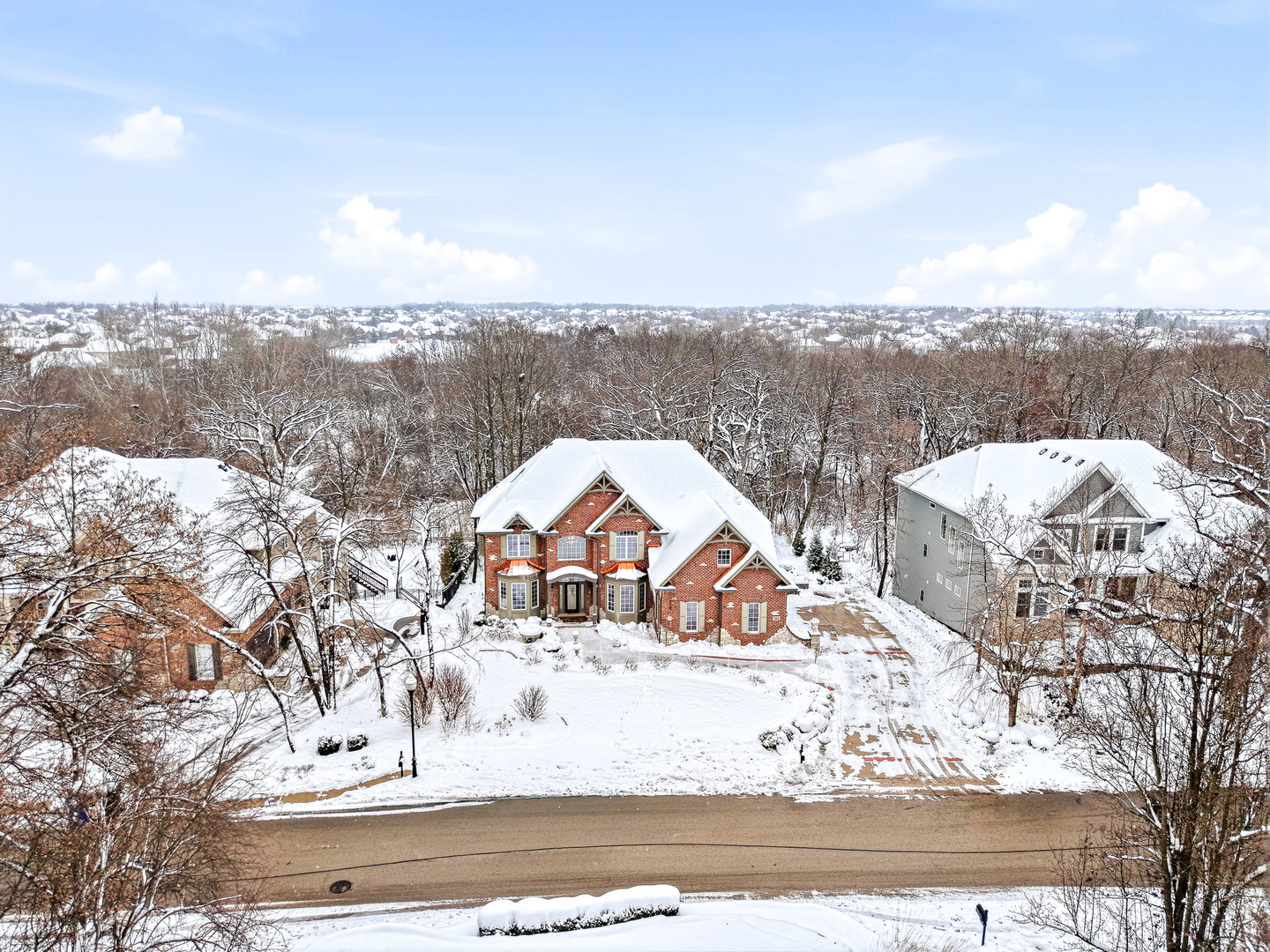 761 Reserve Court South Elgin, IL 60177 - Photo 5 of 89