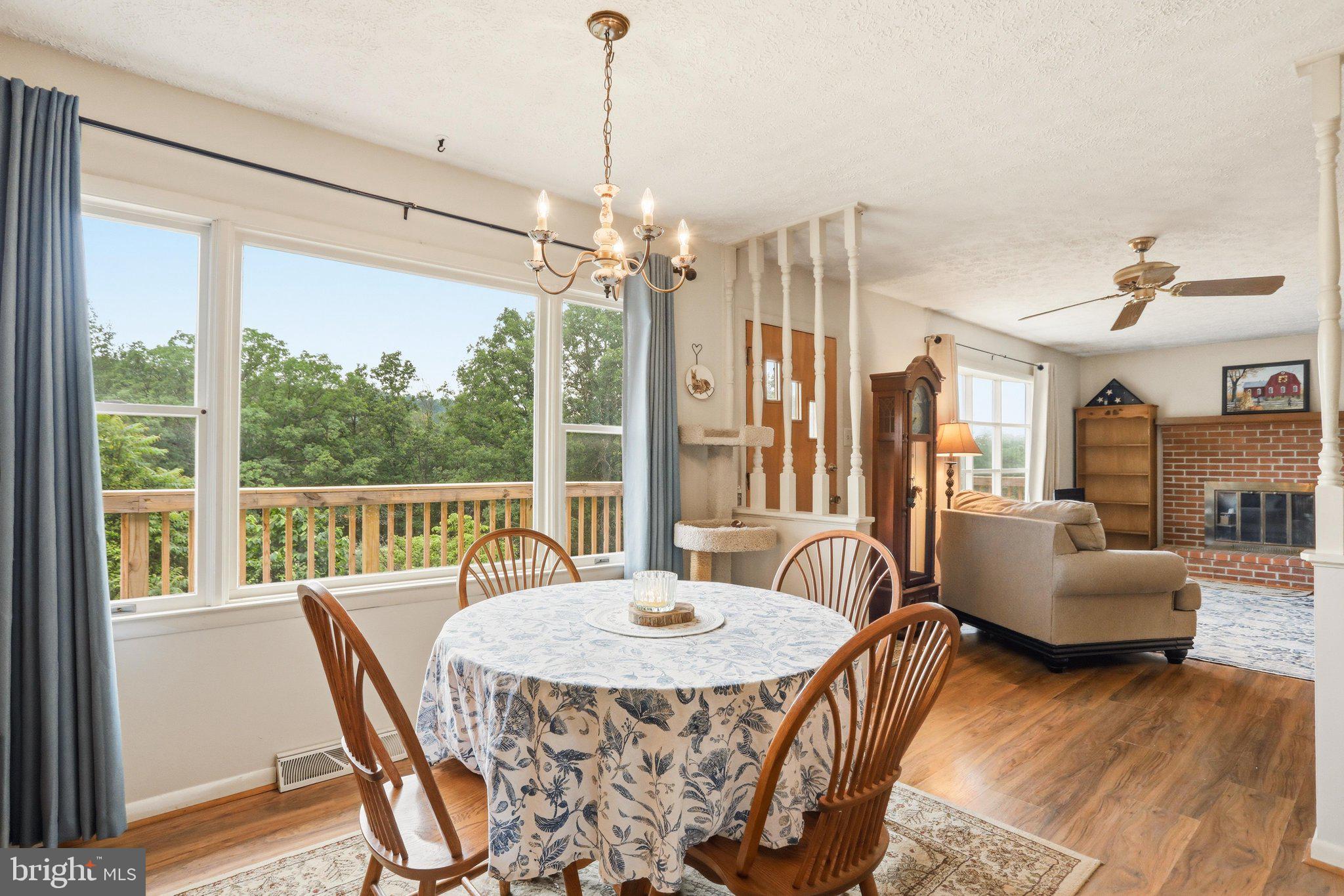 3704 Cedar Creek Road Star Tannery, VA 22654 - Photo 10 of 46
