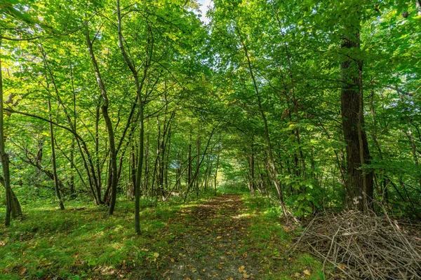 $389,900 | 18101 Minni Acres Road, Clitherall, MN 56524