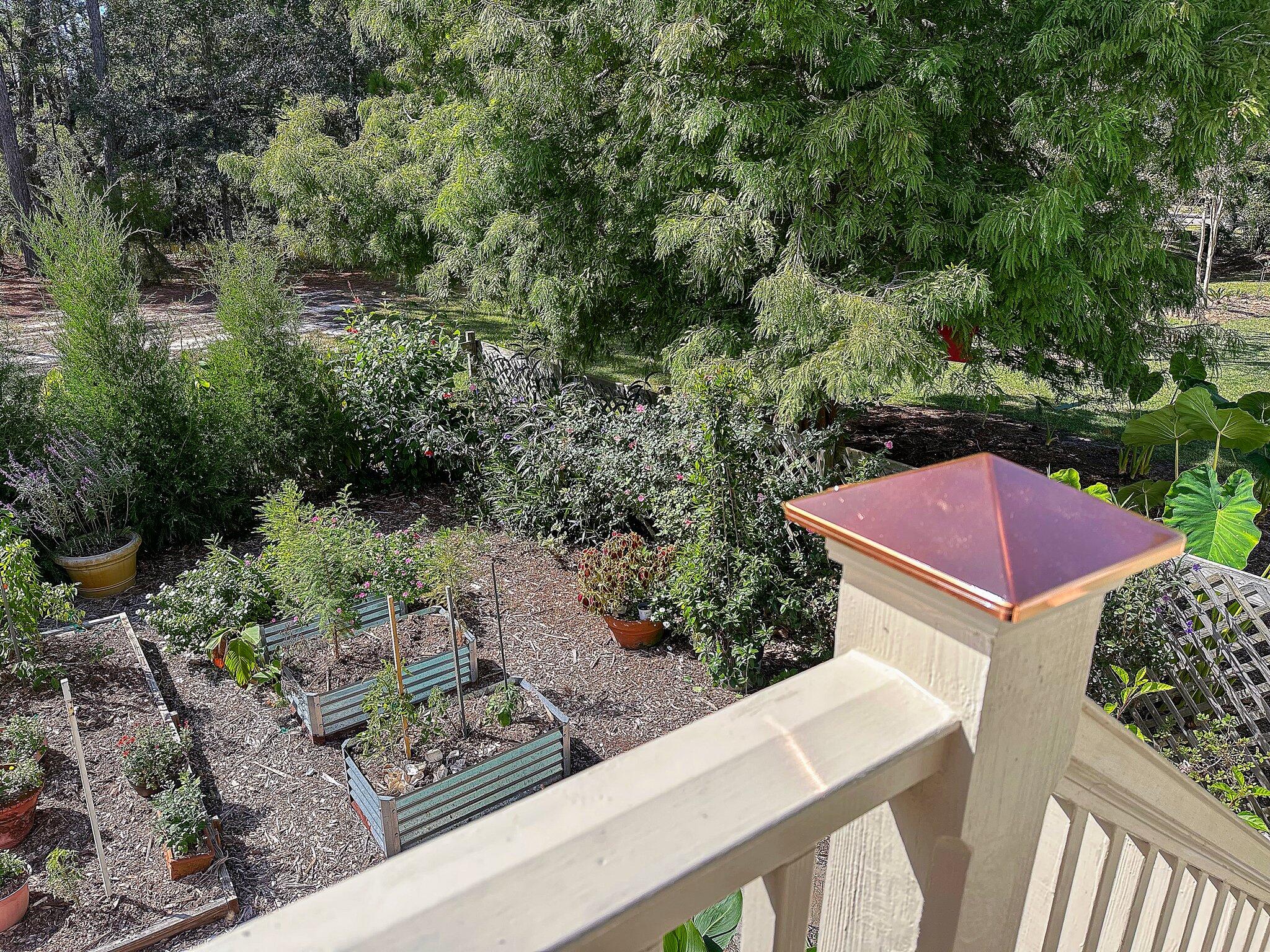 437 Commonwealth Road Mount Pleasant, SC 29466 - Photo 4 of 63 57-web-or-mls-CREM_437 Commonwealth - De