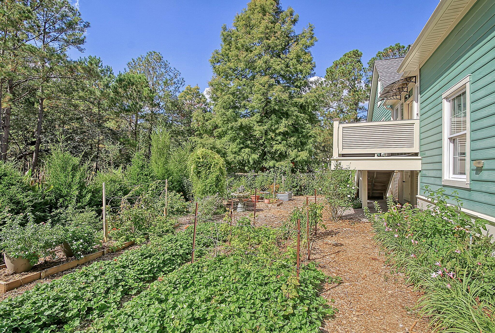 437 Commonwealth Road Mount Pleasant, SC 29466 - Photo 52 of 63 10-web-or-mls-CREM_437 Commonwealth_010