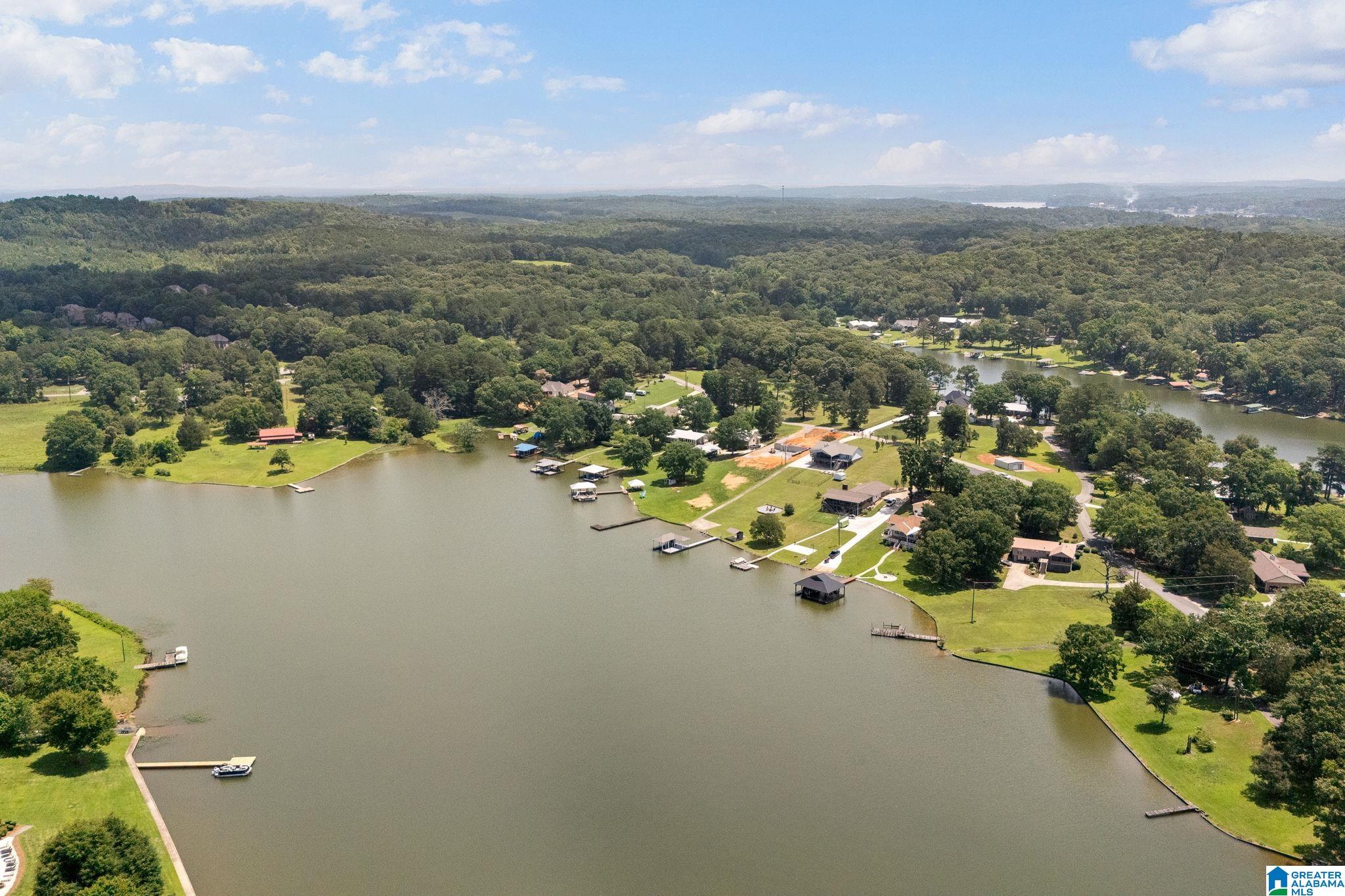 401 Allen Road Pell City, AL 35128 - Photo 51 of 56