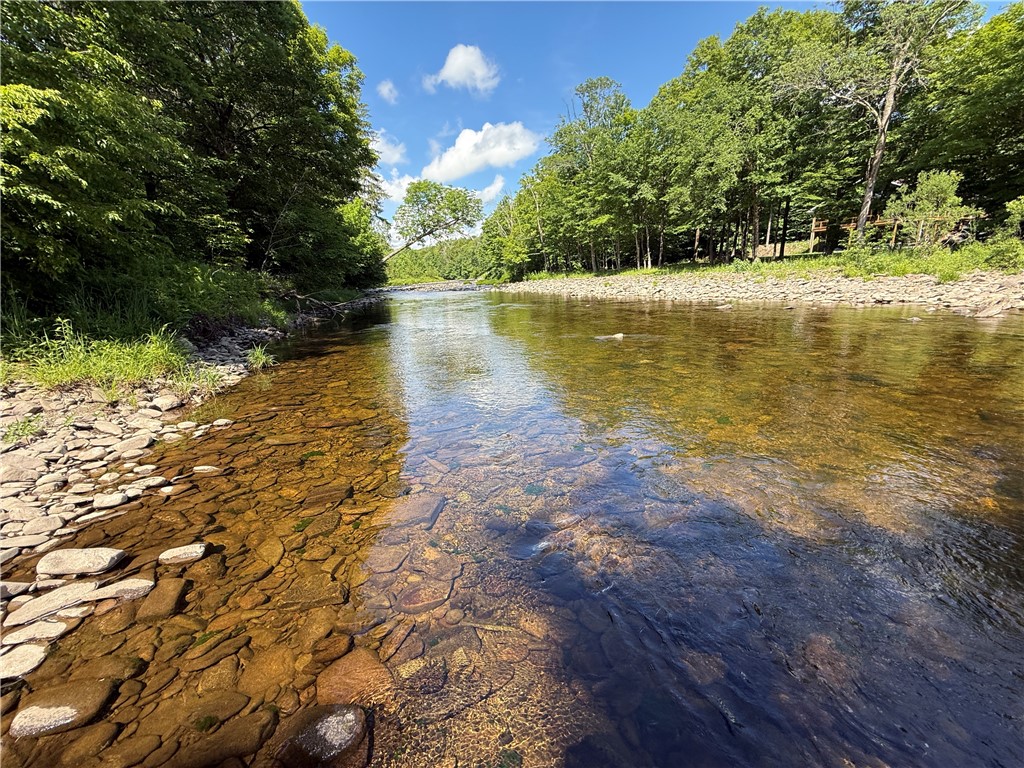 V/l Beaver Creek Road Redfield, NY 13437 - Photo 17 of 35 Gallery Image 17
