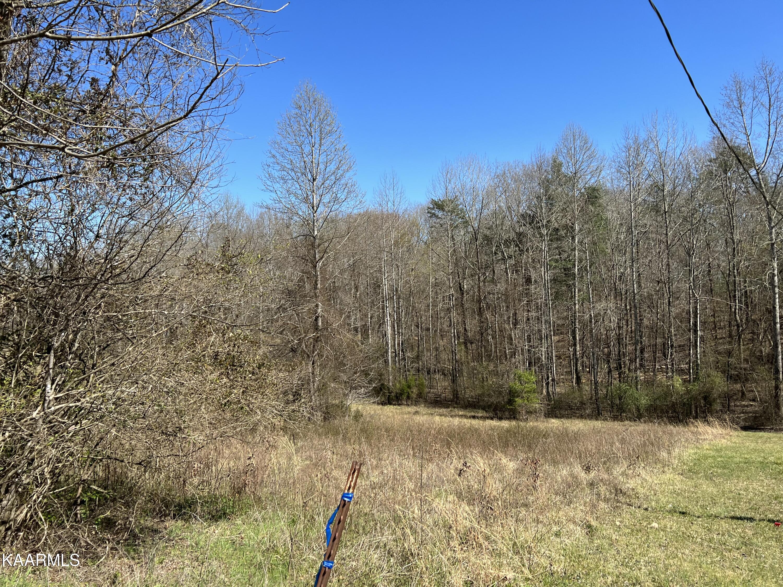 1800 King Hill Road Spring City, TN 37381 - Photo 3 of 4 IMG_2537