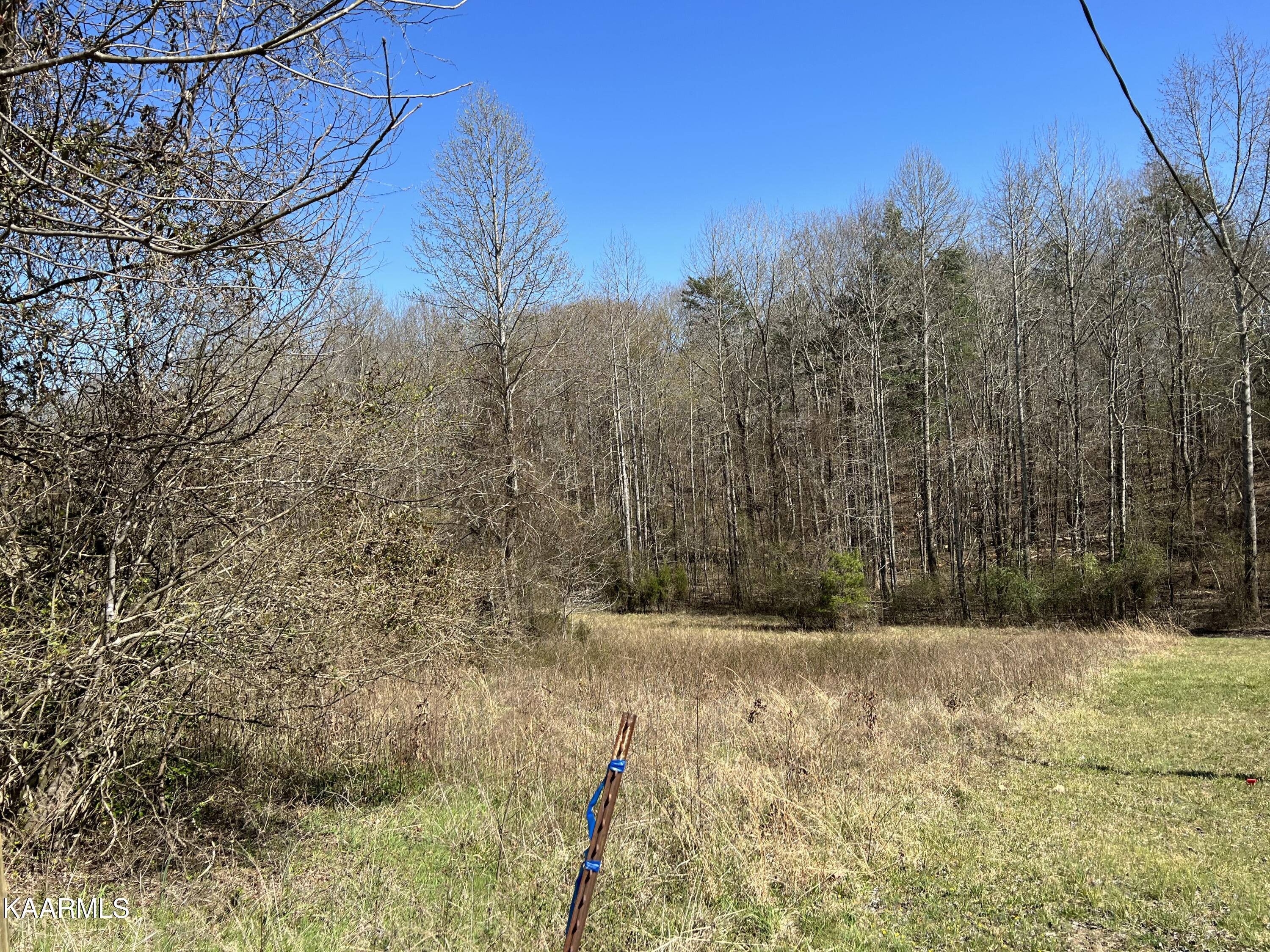 1800 King Hill Road Spring City, TN 37381 - Photo 4 of 4 IMG_2536