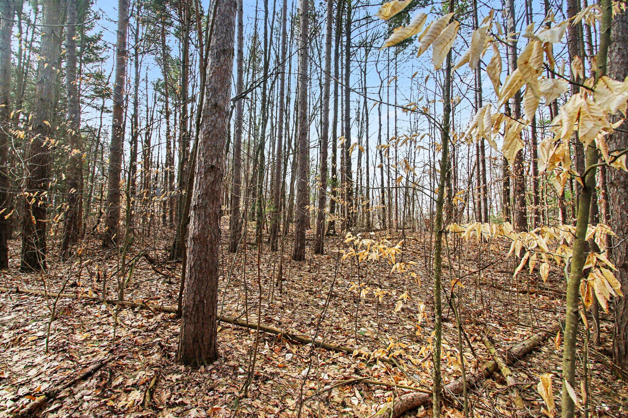 5818 Hunters Ridge Fennville, MI 49408 - Photo 2 of 10 002_file_2350