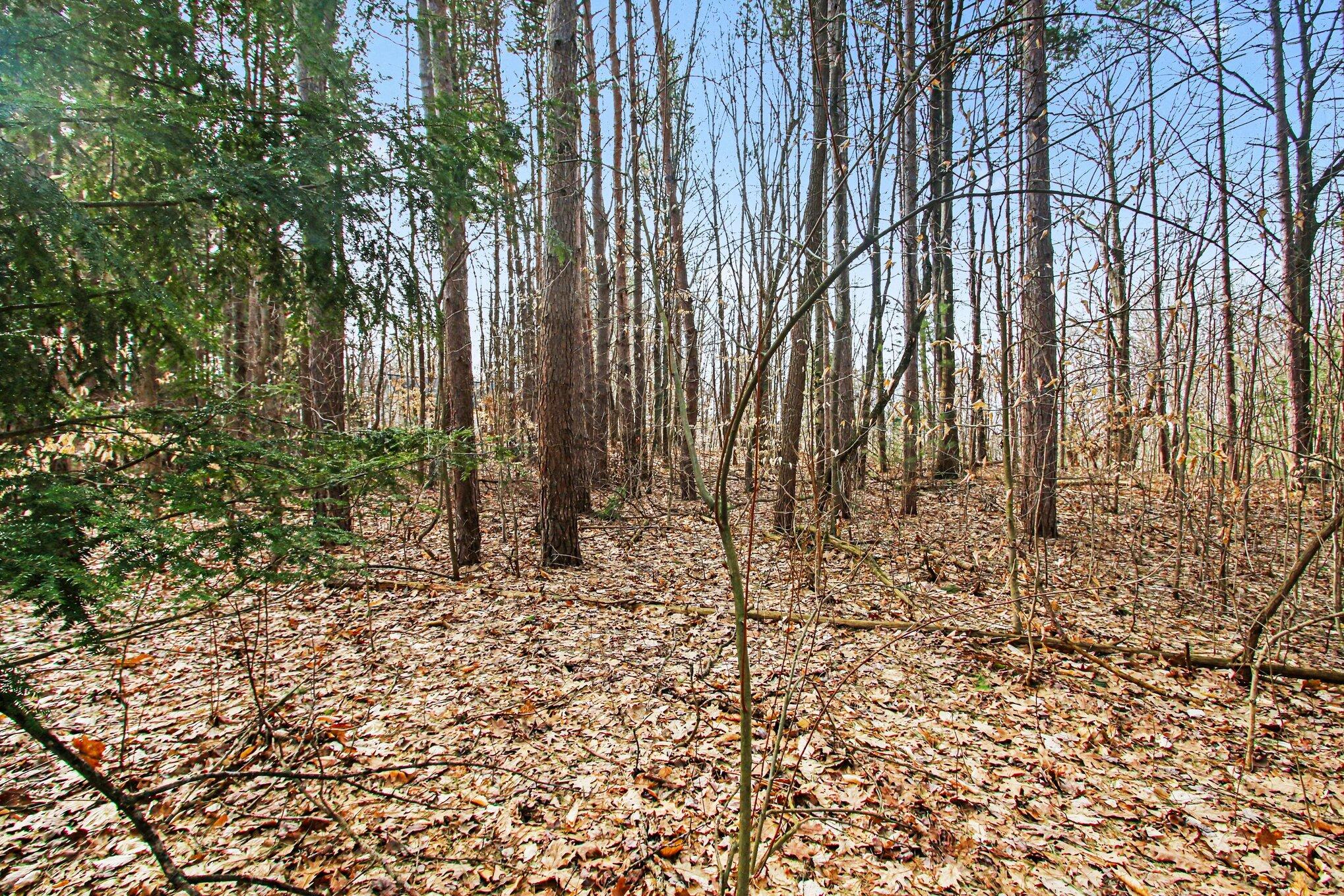 5818 Hunters Ridge Fennville, MI 49408 - Photo 3 of 10 003_file_2761