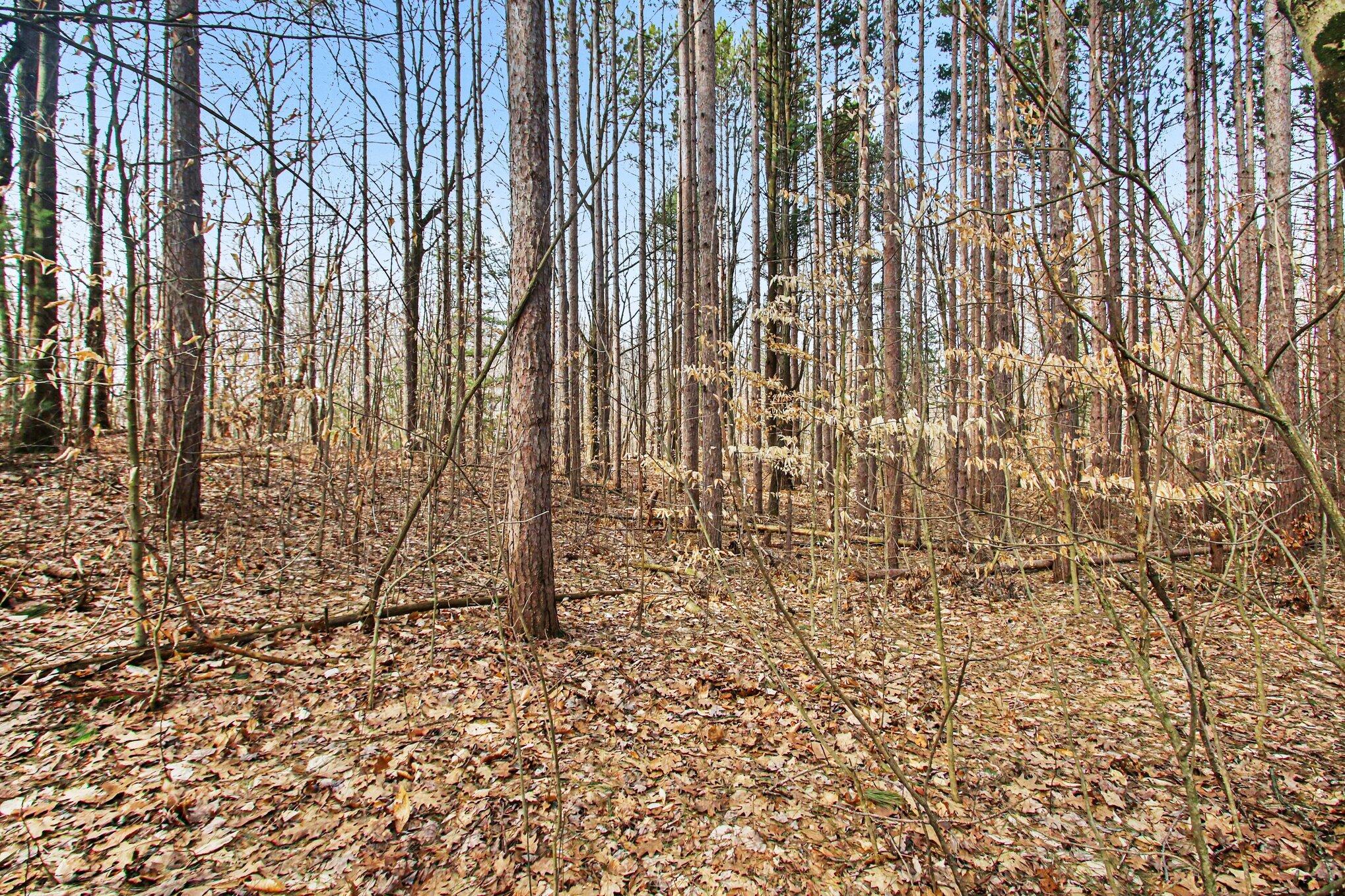 5818 Hunters Ridge Fennville, MI 49408 - Photo 4 of 10 004_file_5165