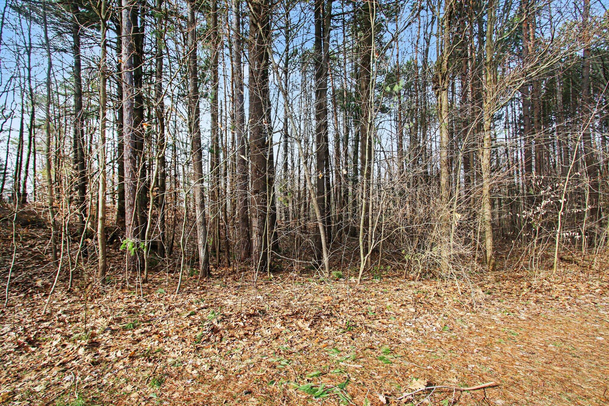 5818 Hunters Ridge Fennville, MI 49408 - Photo 5 of 10 005_file_3007