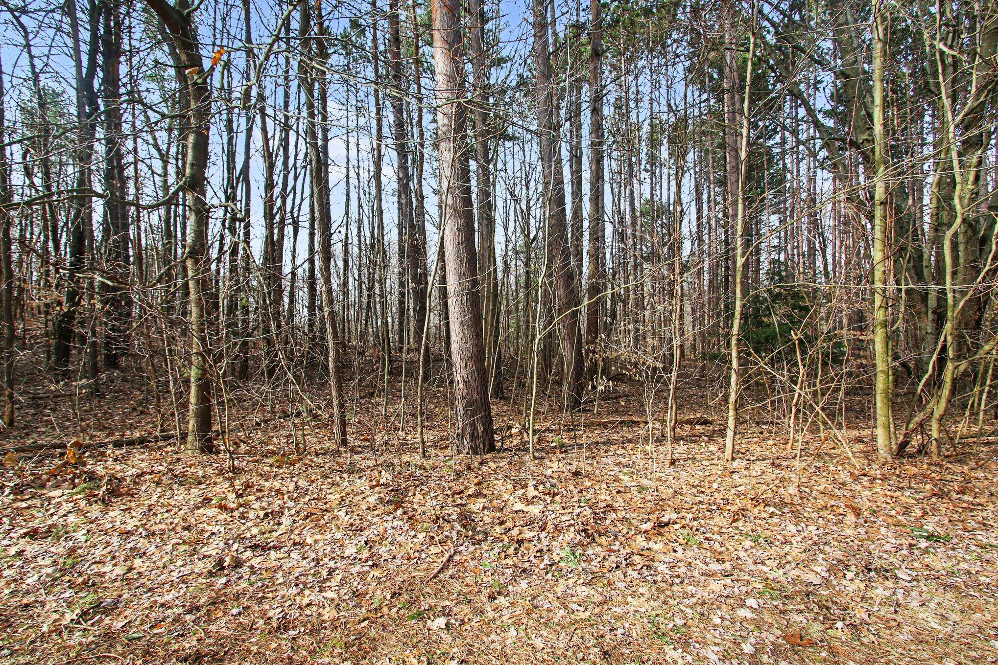 5818 Hunters Ridge Fennville, MI 49408 - Photo 6 of 10 006_file_4032