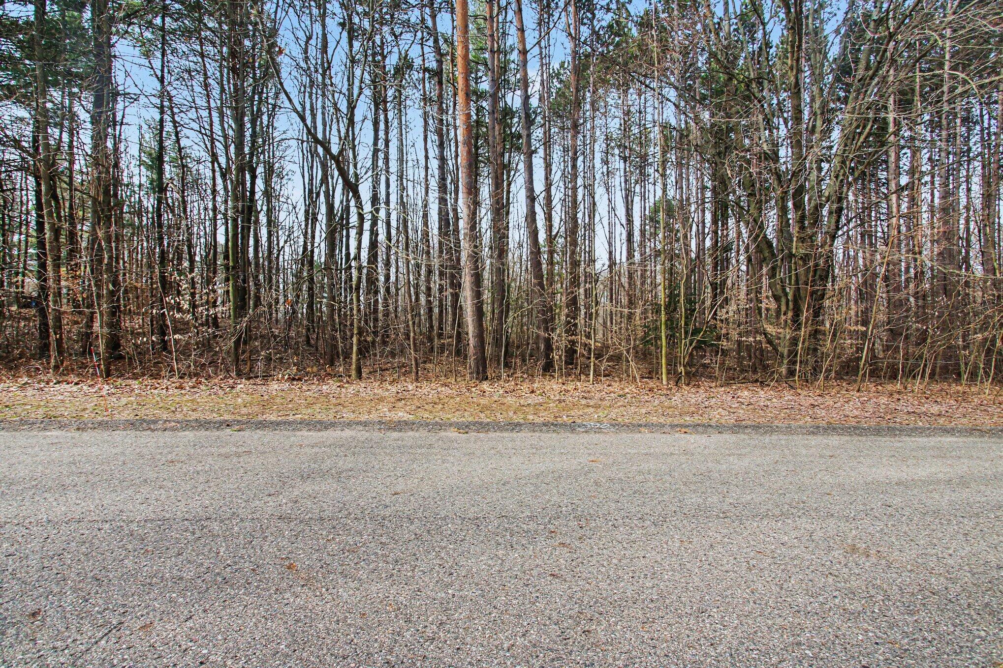 5818 Hunters Ridge Fennville, MI 49408 - Photo 9 of 10 009_file_2393