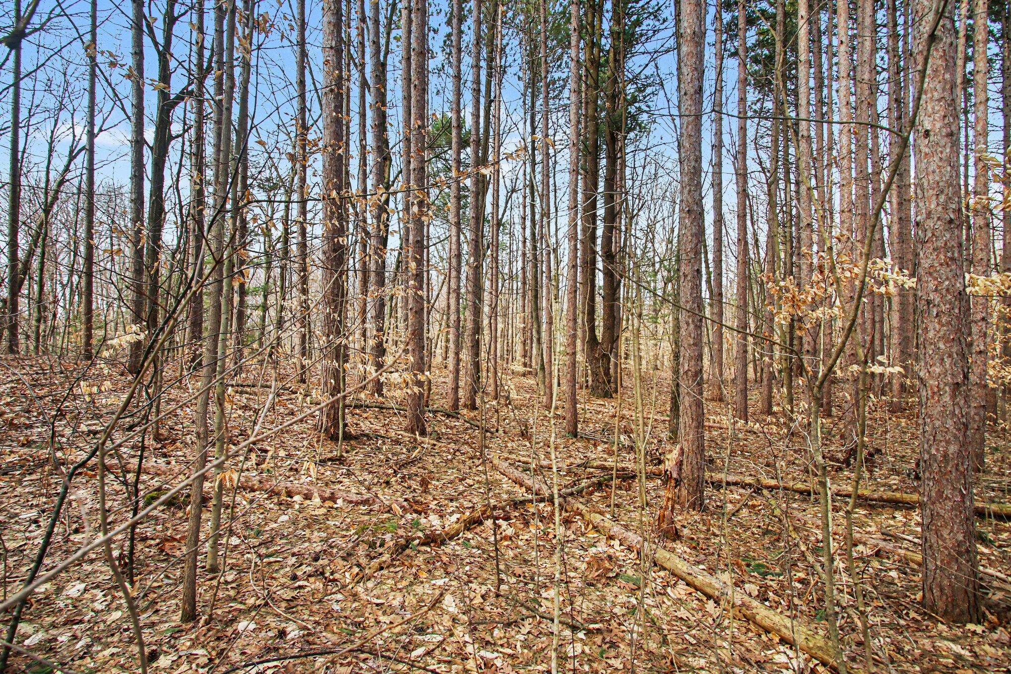 5818 Hunters Ridge Fennville, MI 49408 - Photo 10 of 10 010_file_9786